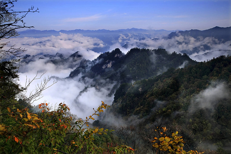 中國(guó)秦嶺.jpg